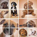 Block Style, Grid - Merged Block Style, Grid - Merged